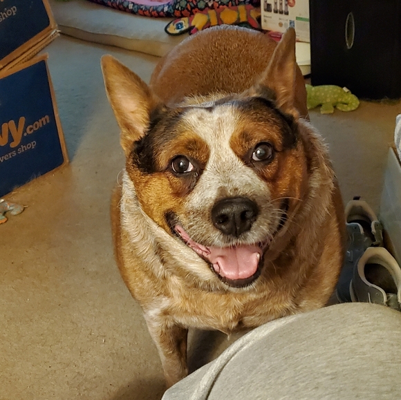 Meet your Posher, Sheryl - Picture 3 of 3